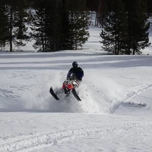 Meet your Posher, Troy